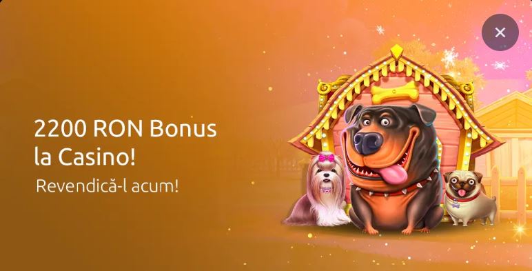 Revendică bonusul de bun venit de 2200 RON acum